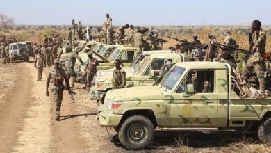 مصر تدعو لهدنة إنسانية فورية في السودان وتؤكد الرفض القاطع لأية محاولات تقسيم