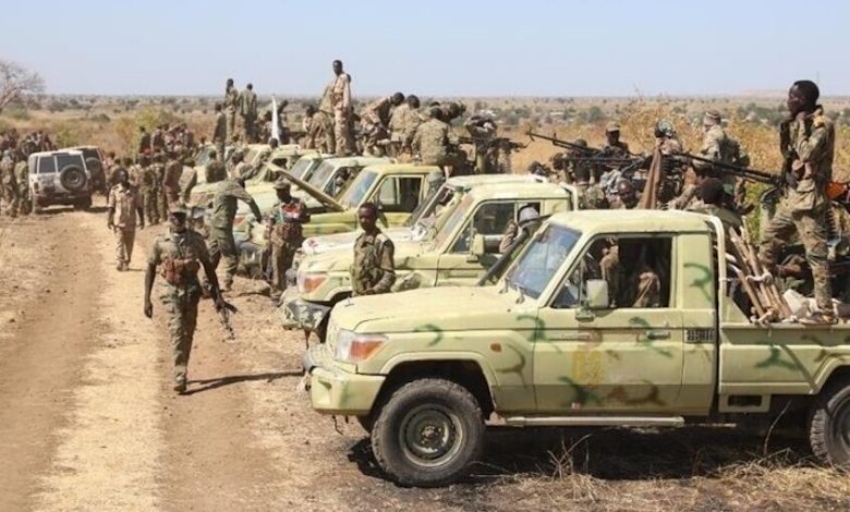 مصر تدعو لهدنة إنسانية فورية في السودان وتؤكد الرفض القاطع لأية محاولات تقسيم