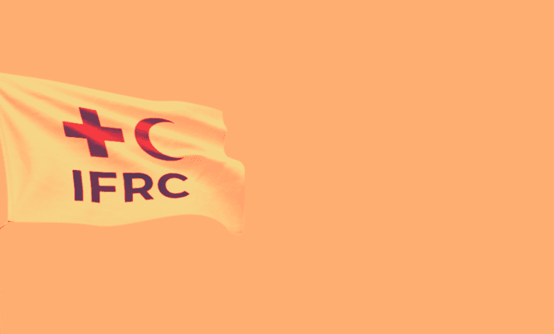 قوات الدعم السريع تنكل بموظفي الهلال الأحمر في إقليم دارفور بالسودان (فيديو)