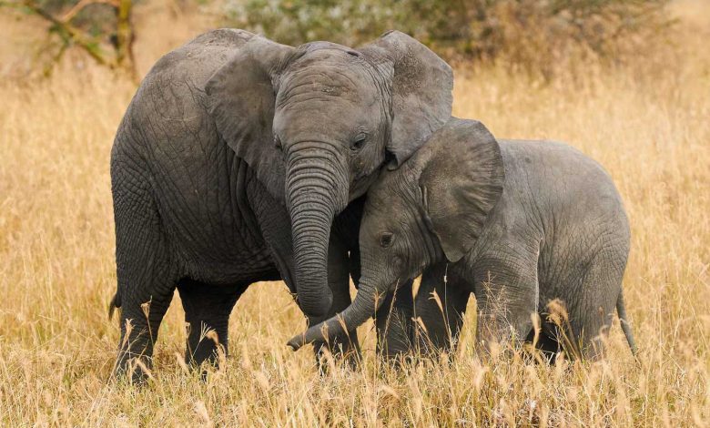 نصائح للآباء الجدد.. كيف تتخذ قراراتك بثقة بعيدا عن آراء الآخرين؟