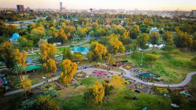ما قصة صورة عادل إمام بالزي الفرعوني؟