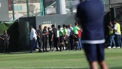 ستيلا: لقب فورمولا 1 لا يزال في أيدي مكلارين