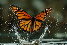 أب يضرب ابنته حتى الموت أثناء لعبه بـ