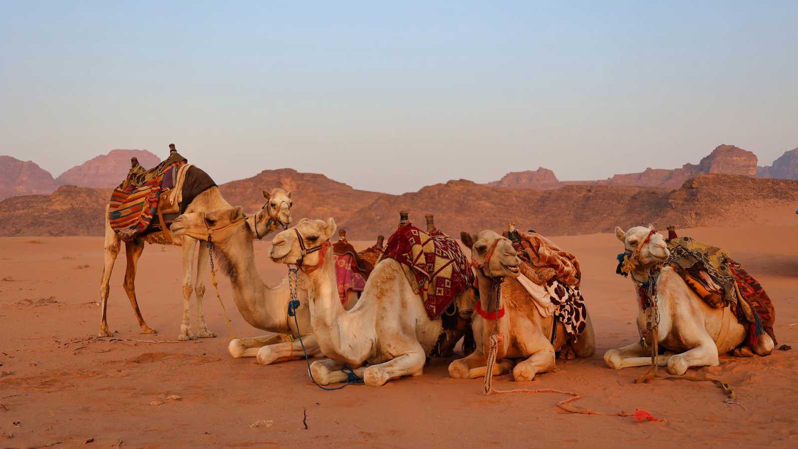 بعد أزمة