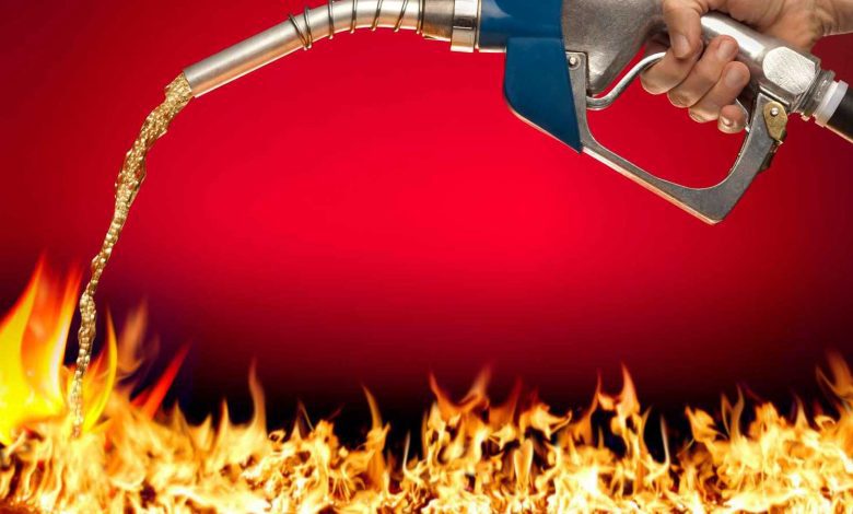 اكتشاف بقايا أحد أقدم الديناصورات على وجه الأرض في الأرجنتين