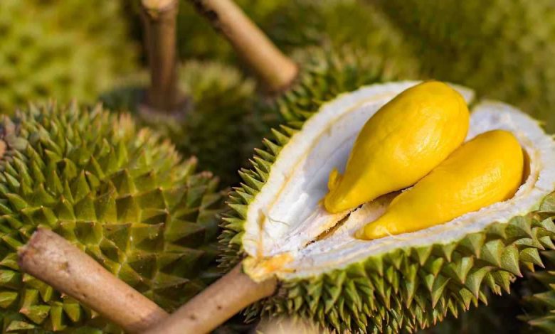 الفوائد الصحية ترفع أسعار الماتشا رغم ضغوط الإنتاج