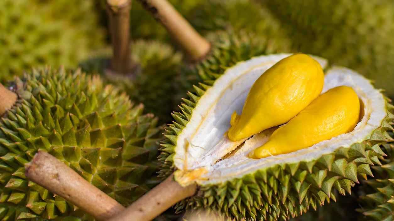 الفوائد الصحية ترفع أسعار الماتشا رغم ضغوط الإنتاج