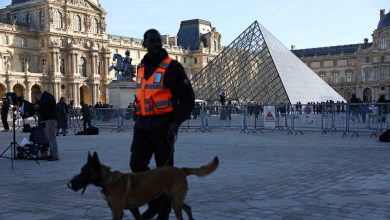 في ذكرى رحيل شقيق