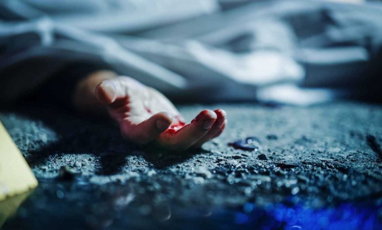 لحظة إنقاذ مؤثرة تكشف رابطة الأمومة بين الفيلة (فيديو)