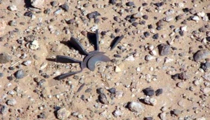 إصابة مسنة بانفجار لغم حوثي في محافظة البيضاء