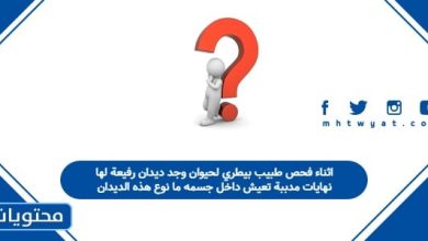 اثناء فحص طبيب بيطري لحيوان وجد ديدان رفيعة لها نهايات مدببة تعيش داخل جسمه ما نوع هذه الديدان