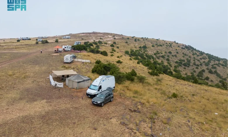 "الغطاء النباتي" يطلق خدمة تصاريح التخييم عبر "نباتي" لموسم الشتاء