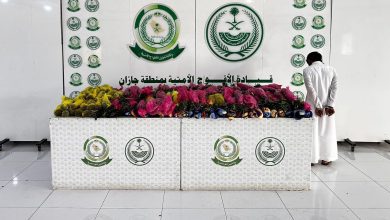 القبض على مخالف لنظام أمن الحدود لتهريبه 84 كيلو قات في جازان