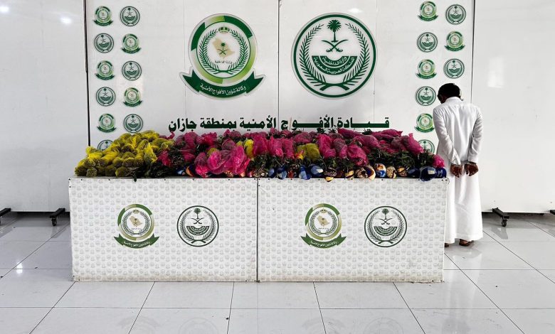 القبض على مخالف لنظام أمن الحدود لتهريبه 84 كيلو قات في جازان