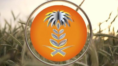 الهيئة العامة للأمن الغذائي ترسي الدفعة الرابعة من القمح المستورد هذا العام
