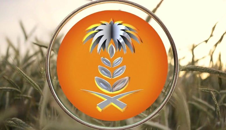 الهيئة العامة للأمن الغذائي ترسي الدفعة الرابعة من القمح المستورد هذا العام