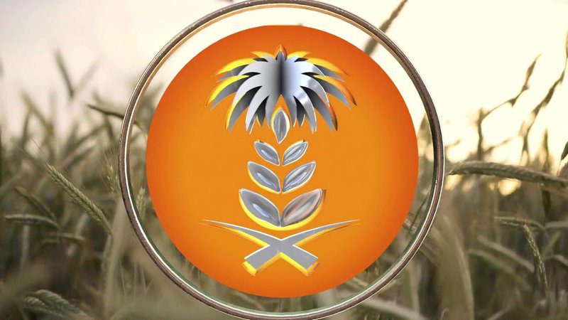 الهيئة العامة للأمن الغذائي ترسي الدفعة الرابعة من القمح المستورد هذا العام