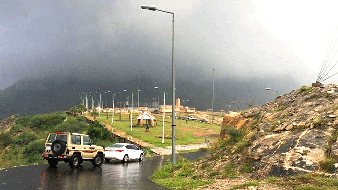 حالة الطقس.. أمطار وضباب على عدة مناطق