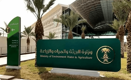 "زراعة الجوف": ذبح 8525 رأس ماشية وغرامات بـ 11800 ريال خلال سبتمبر
