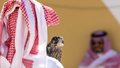زوار ومشاركون معرض الصقور والصيد لـ”الوئام”: نسخة 2025 هي الأجمل والأكثر تنظيمًا منذ انطلاقه
