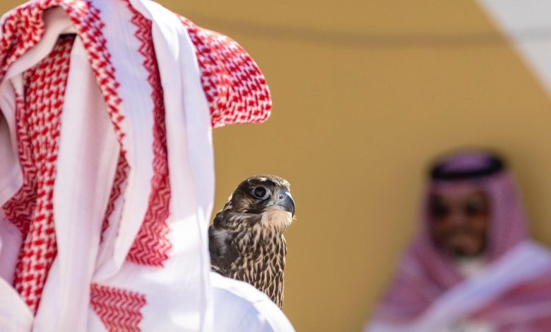 زوار ومشاركون معرض الصقور والصيد لـ”الوئام”: نسخة 2025 هي الأجمل والأكثر تنظيمًا منذ انطلاقه