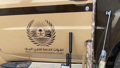 ضبط مخالف لنظام البيئة لتخزين الحطب المحلي في المدينة المنورة