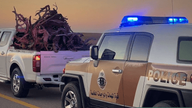 ضبط مواطن لتخزين وتفحيم الحطب المحلي في المدينة المنورة