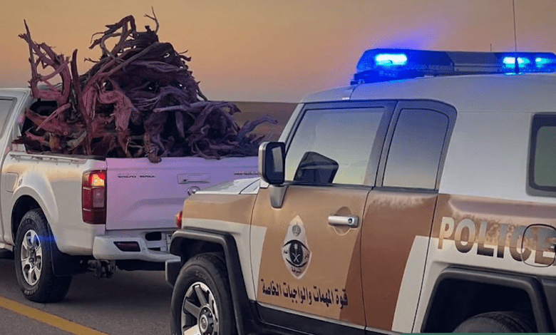 ضبط مواطن لتخزين وتفحيم الحطب المحلي في المدينة المنورة