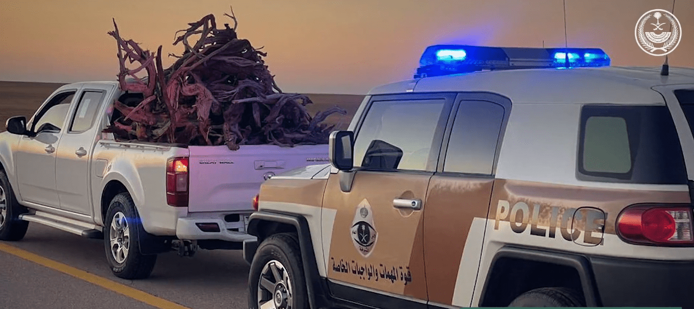 ضبط مواطن لتخزين وتفحيم الحطب المحلي في المدينة المنورة