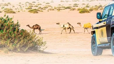 القوات الخاصة للأمن البيئي