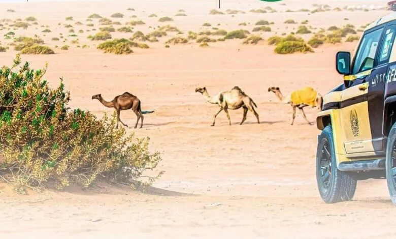 القوات الخاصة للأمن البيئي