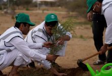 لدعم مستهدفات "السعودية الخضراء".. أمير الرياض يُدشّن موسم التشجير الوطني 2025