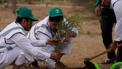 لدعم مستهدفات "السعودية الخضراء".. أمير الرياض يُدشّن موسم التشجير الوطني 2025