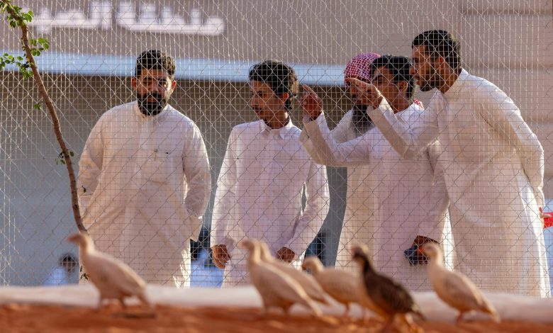 معرض الصقور والصيد السعودي الدولي 2025 يطلق منطقة "السفاري" للتعريف بالحيوانات المهددة بالانقراض