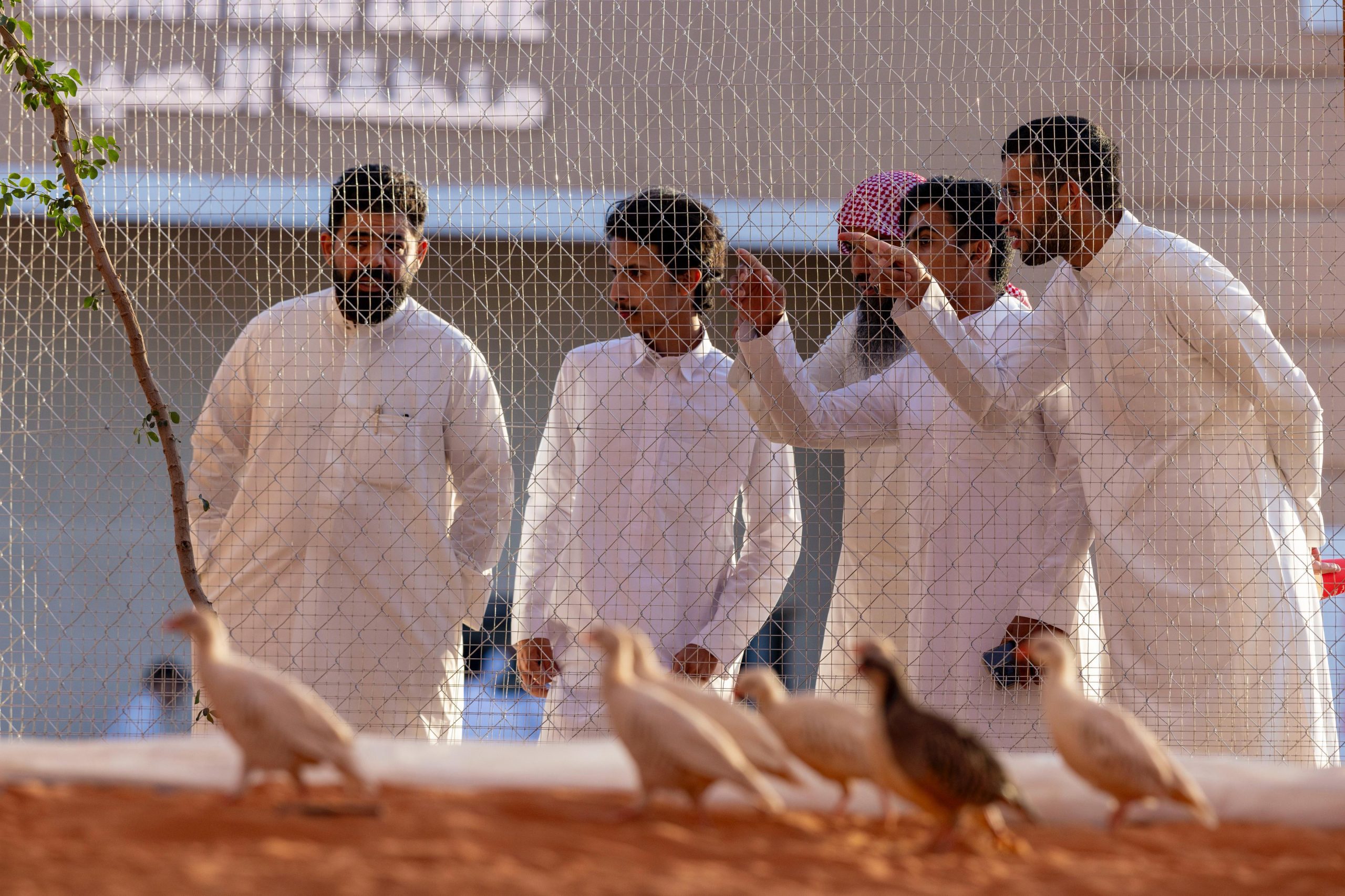معرض الصقور والصيد السعودي الدولي 2025 يطلق منطقة "السفاري" للتعريف بالحيوانات المهددة بالانقراض