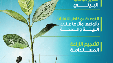 "نحو عالم نقي".. جامعة الملك سعود تطلق مبادرة لتعزيز الوعي البيئي والعمل التطوعي