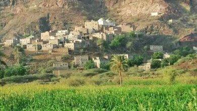 أهالي منطقتي اللصبة والتربة يطلقون نداء استغاثة لإنقاذهم من كارثة صحية