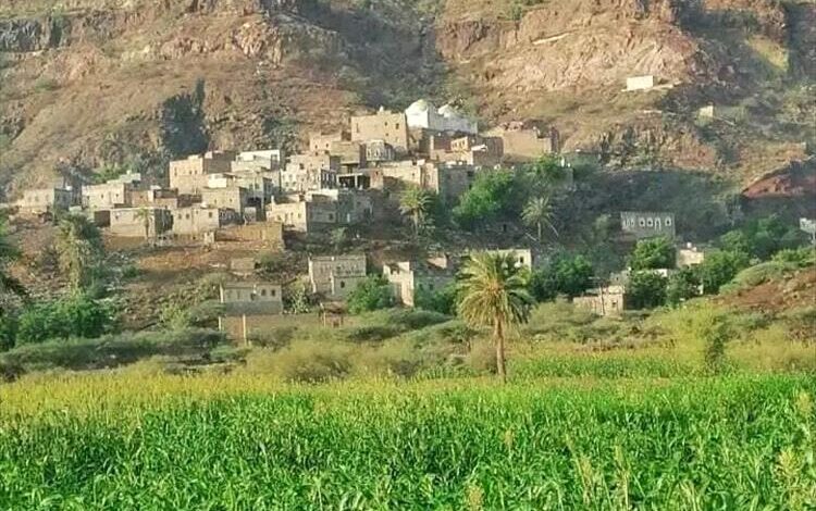 أهالي منطقتي اللصبة والتربة يطلقون نداء استغاثة لإنقاذهم من كارثة صحية