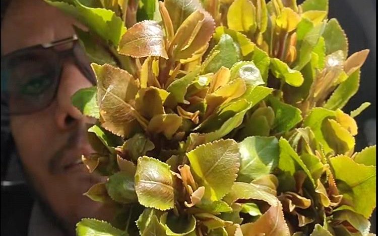 الأربعاء القادم .. أولى جلسات محاكمة جامع التبرعات في عدن صالح العبيدي