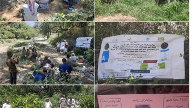 الزراعة بسبَّاح يافع تختتم دوراتها التدريبية الاخيرة لمحصول البُن بمنطقة العرقة