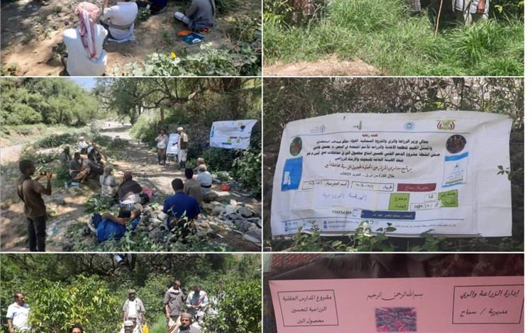 الزراعة بسبَّاح يافع تختتم دوراتها التدريبية الاخيرة لمحصول البُن بمنطقة العرقة