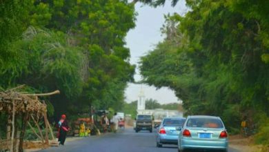 شرطة أبين تضبط متهمًا بإطلاق النار على شاب نتيجة خلافات سابقة