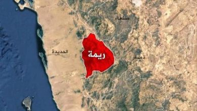 فاجعة أسرية تهز ريمة.. أب يقتل ثلاثة من أطفاله ويصيب الرابعة بجروح خطيرة