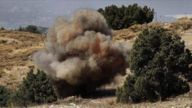 لغم حوثي يحصد الماشية ويصيب طفلًا بالصدمة في مديرية عبس بمحافظة حجة
