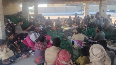 مدير عام هيئة المصائد السمكية بشبوة يلتقي صيادي الحاوي للحفاظ على التوازن الغذائي