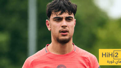 اليونايتد والسيتي يتصارعان على بافلوفيتش