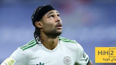 مدى خطورة إصابة غنابري - هاي كورة