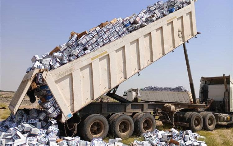 صحة البيئة في المنصورة تتلف 3000 كرتون من الأجبان غير الصالحة للاستهلاك