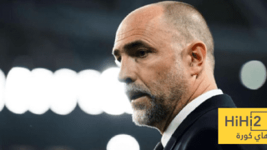 تيودور خائفا: أنا قلق من كل شيء