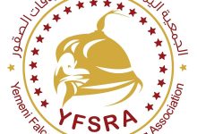 الاعلان عن المزاد الوطني الأول للصقور المطروحة في اليمن